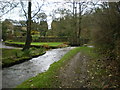 Cowley Brook at White Carr Farm