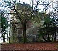 NS3578 : Kilmahew Castle by Lairich Rig