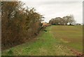 Headland path near Preston Bowyer