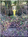 TM3169 : Fire Hydrant on Mill Road by Geographer