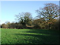 Castle Hill Motte And Bailey