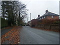 SJ3557 : Rosemary Lane, Burton. by Colin Pyle