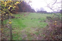 TQ7236 : The High Weald Landscape Trail heading towards Glassenbury by David Anstiss
