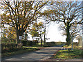 Trees by the junction of Semere Lane and Station Road