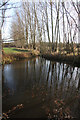 Pond next to Thurston Road