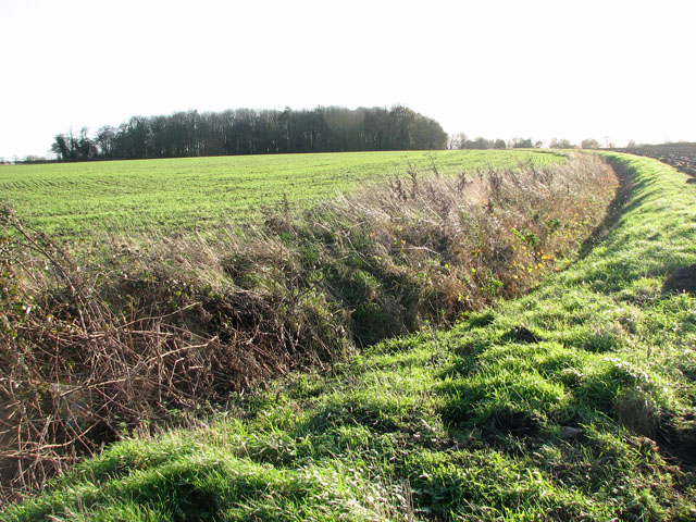 View along a curving ditch