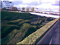 The "wavy hedge maze" in Silvertown