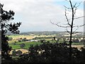 Mount Pleasant viewed from Nesscliffe Hill