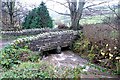 Tributary of River Clun