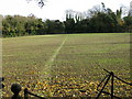 Footpath from Piddle Wood towards All Saints church