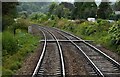 Brimscombe Footpath Crossing