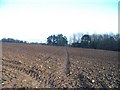 Path across the field