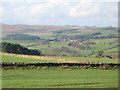 Farmland north of East Elrington