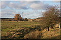 Flood plain of the Little Ouse river