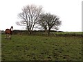 Bryantang Townland