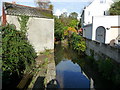 Lyme Regis - The River Lim