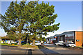 Pines and commercial units - Saltash