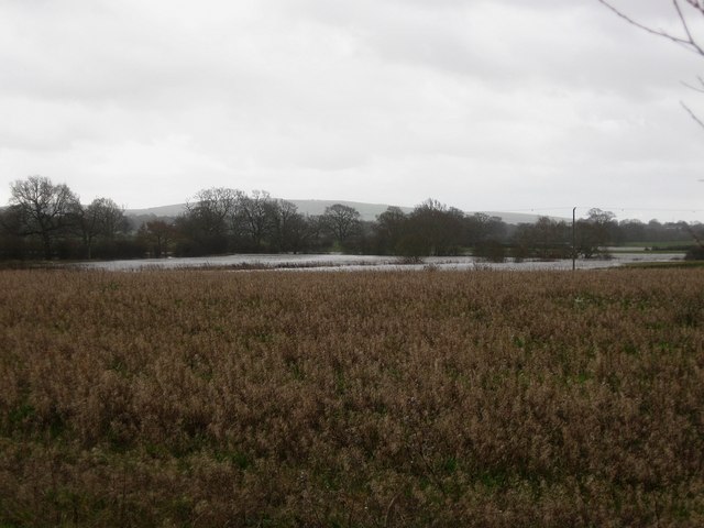 Flooded Fields near Shermanbury Grange