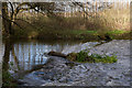 Weir upstream of Somerset Bridge