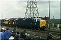 Locomotive Parade, Rainhill 1980 : Deltic 55015 "Tulyar"