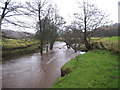 NZ6808 : River Esk in spate at Castleton (view down-stream) by Philip Barker