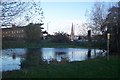 Pond in Blackheath Common