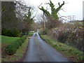 Looking along Fen Lane