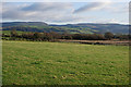 Fields near Ty-h