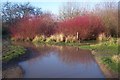 Flooded Car Park in Tonge Mill Countryside Park