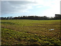 Farmland near  Houghton Hall