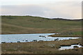 Loch of Houlland, South Nesting