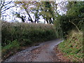 Lane heading towards Woodbury Salterton