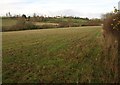 Kilmersdon Brook valley