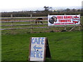 Free range chickens and alpacas