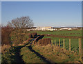 Farm Track, Dundonald