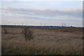TQ5379 : Aveley Marshes by N Chadwick