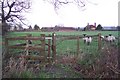 The Greensand Way near Mitchell Farm