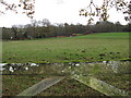 Outbuilding at Routwood