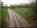 Track near East Lydeard