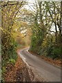 Lane near East Lydeard