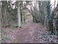 Descent from Warninglid Lane towards Iron Gill