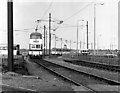 Trams at Little Bispham