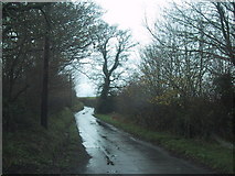 SX8392 : Lane  to Tedburn St Mary by Sarah Charlesworth