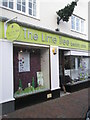 The Lime Tree in the High Street