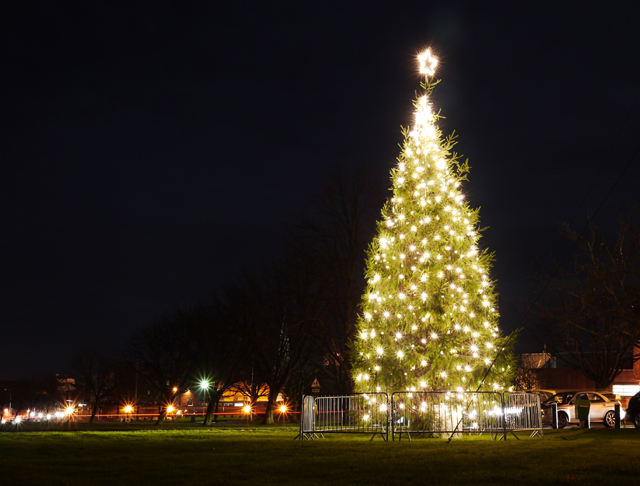 Christmas Tree, Bangor