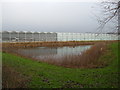 Pond and Greenhouses