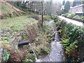 The River Ribble downstream of Dover Mills, Cartworth