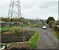 Coity Road allotments, Bridgend