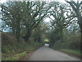 Lane towards West Hill