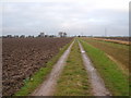 Track near Blacktoft House (Permissive Bridleway)